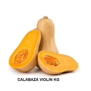 F.A CALABAZA VIOLIN KG
