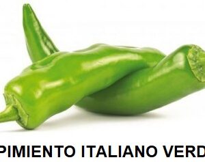 F.A PIMIENTO VERDE ITALIANO KG