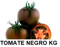 F.A TOMATE KUMATO NEGRO KG