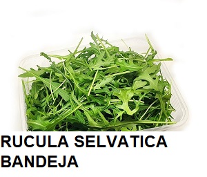 F.A RUCULA BABY SELVATICA BANDEJA