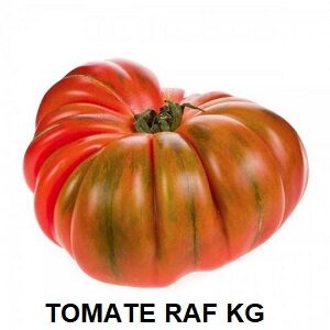 F.A TOMATE RAF KG