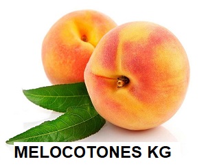 F.A MELOCOTONES KG
