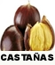 F.A CASTAÑAS KG