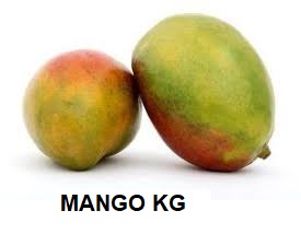 F.A MANGO KG