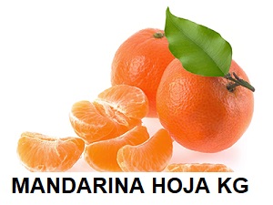 F.A MANDARINA KG