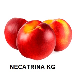 F.A NECTARINA GRANEL KG