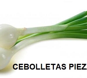 F.A CEBOLLETA PIEZA