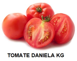 F.A TOMATE DANIELA KG