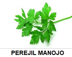 F.A PEREJIL MANOJO