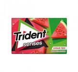 TRIDENT SENSES WATERMELON 23G