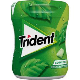TRIDENT BOTE SPEARMINT 82.6G
