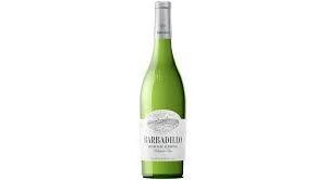 BARBADILLO VINO CADIZ BLANCO