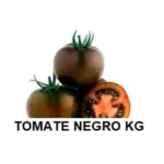 Imagen anterior del producto