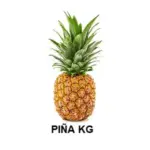 Imagen anterior del producto